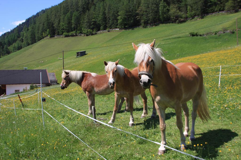 Omesbergerhof Βίλα Neustift im Stubaital Εξωτερικό φωτογραφία
