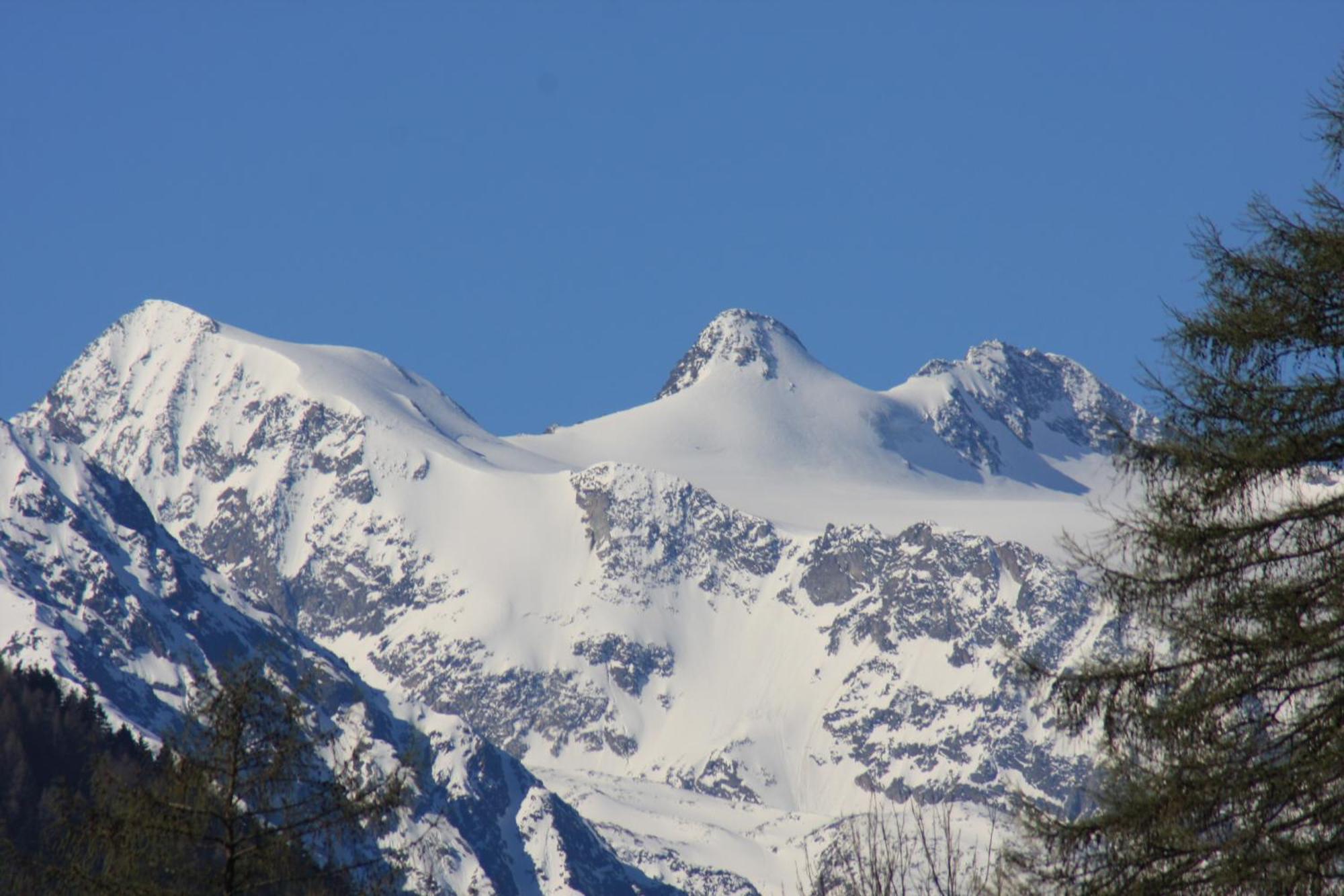 Omesbergerhof Βίλα Neustift im Stubaital Εξωτερικό φωτογραφία